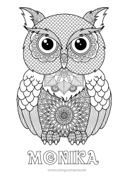 Coloriage personnalisable Chouette, Hibou Animal Coloriages complexes Zentangle Oiseaux et mammifères volants