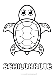 Página de desenho personalizável Fofo Tartaruga Animal Desenhos para colorir fáceis Animais marinhos ou aquáticos Répteis Tartaruga marinha Tartaruga terrestre