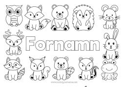 Colorear personalizable Erizo Kawaii Rana Ardilla Zorro Búho Conejo Animales Animales marinos o acuáticos Aves y mamíferos voladores Animales del bosque Ciervo Mapache