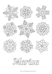 Anpassbare Malvorlage Blumen Winter Mandala Schneeflocken Weihnachtsstern