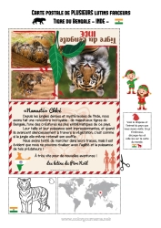 Pagina da colorare personalizzabile Tigre Animale Animali selvatici dell'Africa Viaggio dell'elfo di Natale Cartolina Cartolina di vari elfi India Diversi elfi birichini