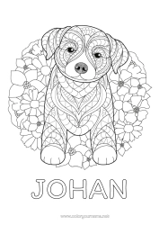 Pagina da colorare personalizzabile Mandala Cane Animale CanI e gatti