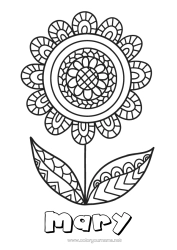 Anpassbare Malvorlage Blumen Mandala Frohes Fest Frühling Mittelstufenmalvorlagen