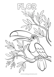 Colorear personalizable Pájaro Animales Tucán Aves y mamíferos voladores