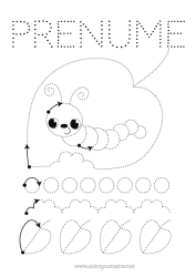Pagina da colorare personalizzabile Primavera Animale Foglie Disegni da colorare facili Traccia e colora Insetti Bruco Scheda di grafismo per la scuola materna