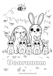 Página de desenho personalizável Fofo Coelho Criança Animal Animais da floresta Adulto Família