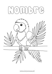 Colorear personalizable Pájaro Animales Loro Aves y mamíferos voladores