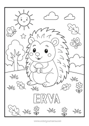 Pagina da colorare personalizzabile Riccio Farfalla Animale Fungo Insetti Animali della foresta