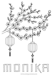 Colorear personalizable Linterna china Japón Árbol China Cerezo