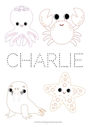 Página de desenho personalizável Atividades para Crianças Animal Ligando os Pontos Foca Caranguejo Desenhos para colorir fáceis Estrela do mar Animais marinhos ou aquáticos Polvo, Lula