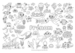 Pagina da colorare personalizzabile Tartaruga Mare Veicoli Animale Delfino Barca Cavalluccio marino Granchio Razza Animali marini o acquatici Rettili Uccelli e mammiferi volanti Subacquea Sottomarino Veicoli marittimi Gabbiano, gabbiano Sport acquatici Polpo, polipo