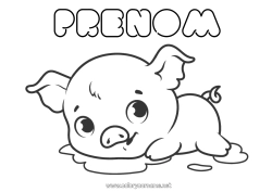 Colorear personalizable Cerdo Animales Año Nuevo chino Animales de granja