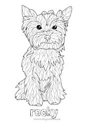 Coloriage personnalisable Chien Animal Coloriages complexes Chiens et chats