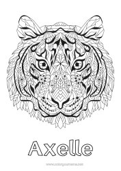 Anpassbare Malvorlage Mandala Tiger Tier Chinesisches Neujahr Wilde Tiere Afrikas