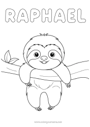 Página de desenho personalizável Animal Animais da floresta Preguiçoso