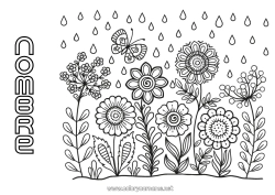 Página de desenho personalizável Flores Primavera Borboleta Insetos