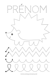 Colorear personalizable Erizo Otoño Actividades para niños Animales Trazo y color Animales del bosque Ficha de grafismo para educación infantil