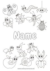 Coloriage personnalisable Araignée Animal Coccinelle Fourmi Insectes Libellule