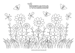 Coloriage personnalisable Fleurs Été Printemps Papillon Insectes Libellule