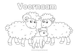 Coloriage personnalisable Mouton Animal Coloriages faciles Animaux de la ferme Famille Bélier