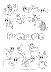 Anpassbare Malvorlage Spinne Tier Marienkäfer Ameise Insekten Libelle