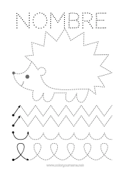 Customizable coloring page Hedgehog Autumn Children's activities Animal Trace and color Forest animals Preschool graphic design sheet