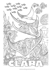 Coloriage personnalisable Mandala Mer Animal Poisson Coloriages complexes Zentangle Raie Animaux marins ou aquatique