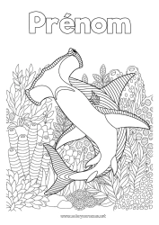 Coloriage personnalisable Mer Animal Coloriages complexes Requin Zentangle Animaux marins ou aquatique Requin marteau