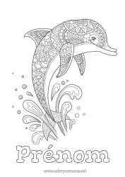 Coloriage personnalisable Mandala Mer Animal Dauphin Coloriages intermédiaires Animaux marins ou aquatique