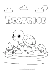 Coloriage personnalisable Tortue Animal Reptiles Île Tortue terrestre