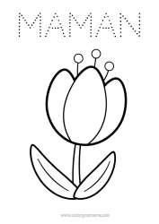 Página de desenho personalizável Flores Primavera Tulipa Desenhos para colorir fáceis