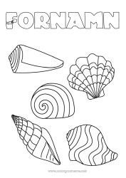 Coloriage personnalisable Été Mer Animal Coquillages Animaux marins ou aquatique