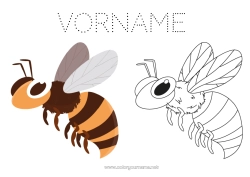Página de desenho personalizável Animal Abelha Insetos Colorir com Modelo