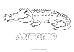 Coloriage personnalisable Crocodile Animal Reptiles