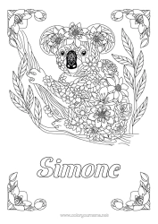 Anpassbare Malvorlage Tier Koala Zentangle Australien Andere Tiere der Welt Tiere Australiens