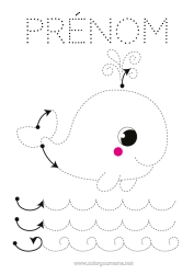 Página de desenho personalizável Baleia Atividades para Crianças Animal Desenhos para colorir fáceis Rastreie e Pinte Animais marinhos ou aquáticos Folha de atividades de grafismo para educação infantil