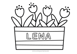 Página de desenho personalizável Flores Tulipa Desenhos para colorir fáceis