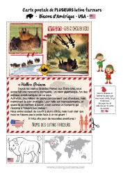 Coloriage personnalisable Animal USA Autres animaux du monde Voyage de lutin farceur Carte postale Carte postale de PLUSIEURS lutins Bison Plusieurs lutins farceurs