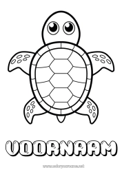 Customizable coloring page Cute Turtle Animal Easy coloring pages Marine or aquatic animals Reptiles Sea Turtle Tortoise