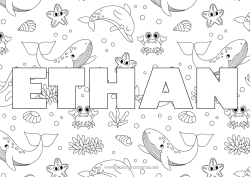 Coloriage personnalisable Baleine Mer Animal Crabe Coquillages Étoile de mer Animaux marins ou aquatique Fond décoratif