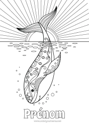 Coloriage personnalisable Baleine Mer Animal Animaux marins ou aquatique Orque
