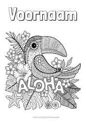 Página de desenho personalizável Mandala Pássaro Animal Tucano Anti-stress Pássaros e mamíferos voadores Havaí