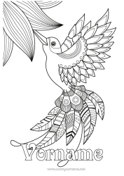 Página de desenho personalizável Pássaro Animal Zentangle Pássaros e mamíferos voadores Colibri