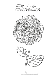 Kolorowanka personalizowalna Kwiaty Zentangle Kamelia