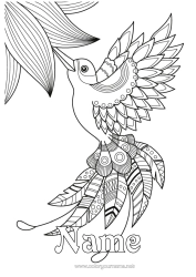Página de desenho personalizável Pássaro Animal Zentangle Pássaros e mamíferos voadores Colibri