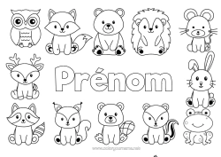 Coloriage personnalisable Hérisson Kawaii Grenouille écureuil Renard Chouette, Hibou Lapin Animal Animaux marins ou aquatique Oiseaux et mammifères volants Animaux de la forêt Cerf Raton laveur