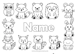 Coloriage personnalisable Hérisson Kawaii Grenouille écureuil Renard Chouette, Hibou Lapin Animal Animaux marins ou aquatique Oiseaux et mammifères volants Animaux de la forêt Cerf Raton laveur