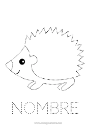 Página de desenho personalizável Ouriço Animal Desenhos para colorir fáceis Rastreie e Pinte Animais da floresta