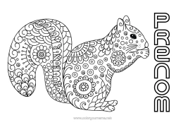 Coloriage personnalisable Calme et zen Mandala écureuil Automne Animal Doodle Zentangle Anti-stress Animaux de la forêt