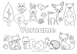 Coloriage personnalisable Ours Hérisson écureuil Automne Renard Chouette, Hibou Lapin Animal Arbre Oiseaux et mammifères volants Animaux de la forêt Castor Gland Cerf